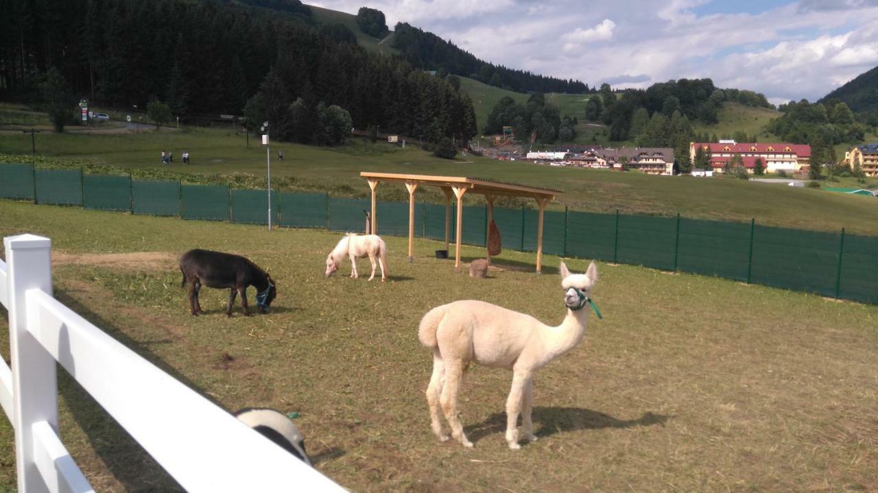 Donovaly Ad Kamzik - Apartman 47 Bagian luar foto
